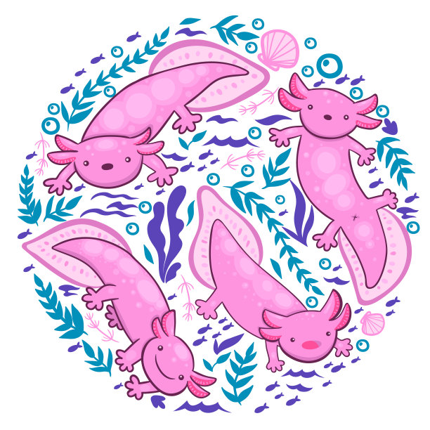 一个收集蝾螈和水下元素上图片下载