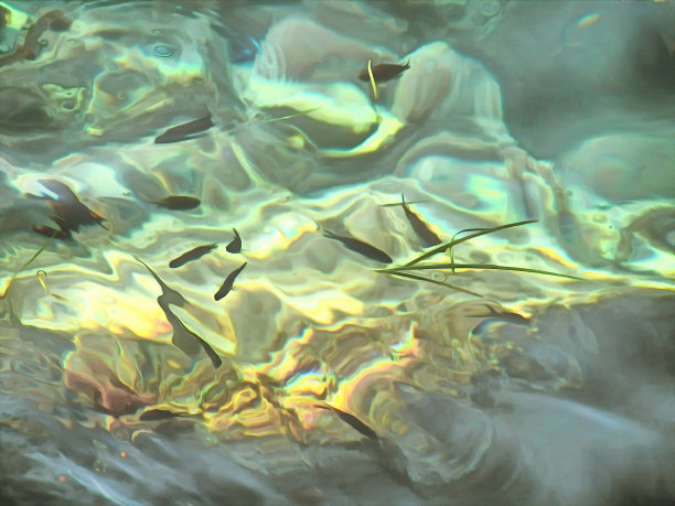 水彩海上风景。海底背景，海底透着透明的水。海洋生物。旅游和度假的概念。数字绘画。画水彩。图片下载