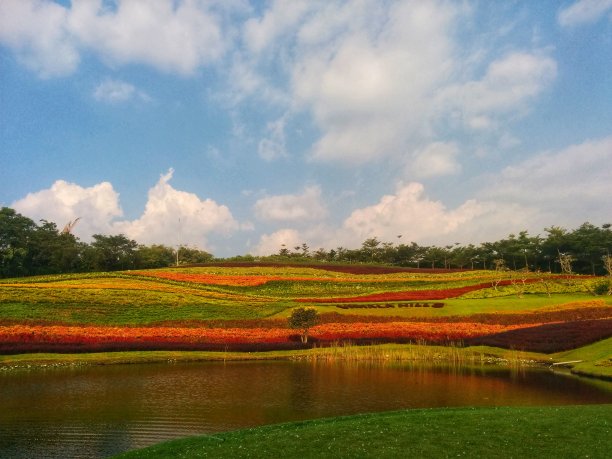 令人惊叹的五颜六色的公园和美丽的天空图片下载