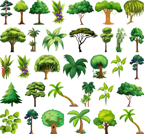 设置多种植物和树木图片下载