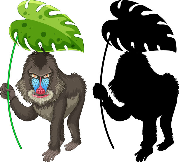 Set mandrill卡通和它的轮廓图片下载