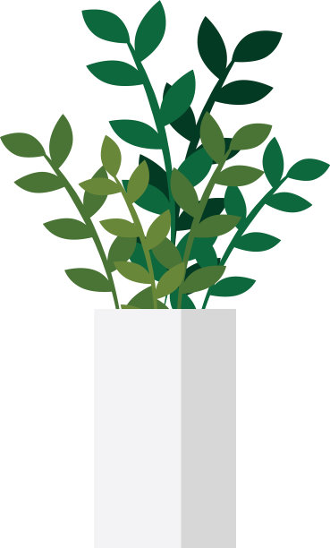 白色背景的室内盆栽植物图片下载