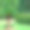 一个美丽的热带公园，有棕榈树，树篱和其他植物。这个概念就是旅行。图片下载