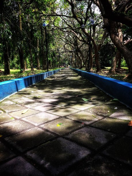 花园、公园图片下载