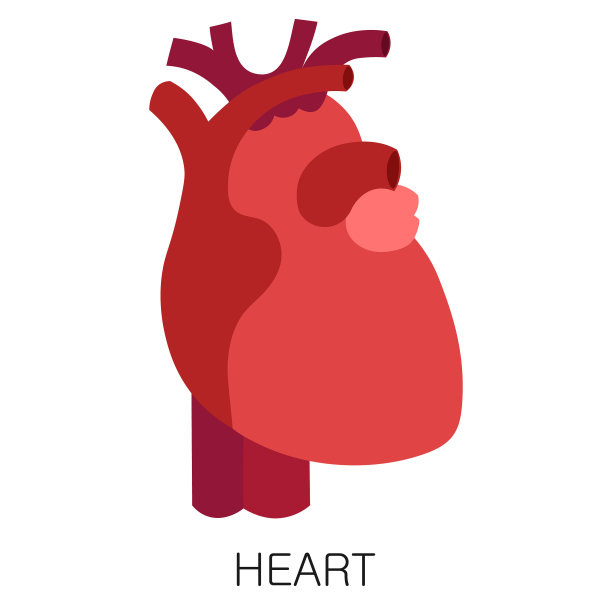 心图标在平面风格孤立的白色图片下载