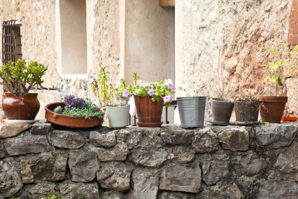 花盆装饰图片下载