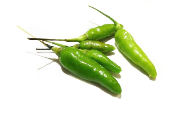 青椒孤立在白色背景上图片下载