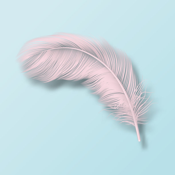 3d逼真的粉红色绒毛旋转下落图片下载