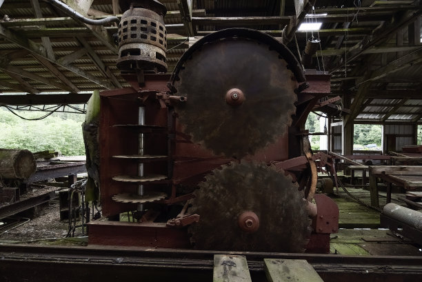 一个大圆锯在一个废弃的木材加工工厂里的特写图片下载