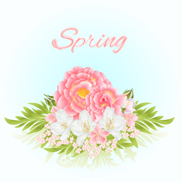 玫瑰粉红色，中间有橙色的樱花花图片下载