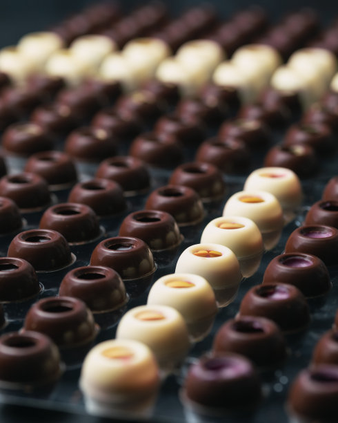 一排排的自制黑和白巧克力松露壳，不同的馅料。有选择性的重点图片下载
