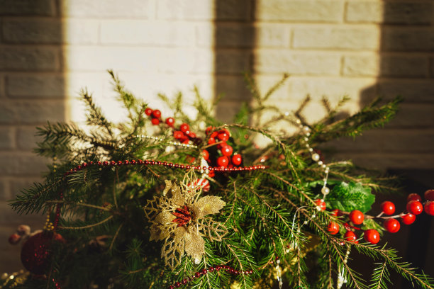 用冷杉树枝装饰圣诞，点缀仙女的背景图片下载