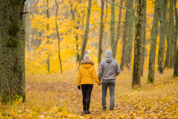 一对年轻的夫妇在森林里的落叶上一起散步。金色的秋日。浪漫可爱的时刻。和平的气氛。约会的概念。后视图。图片下载