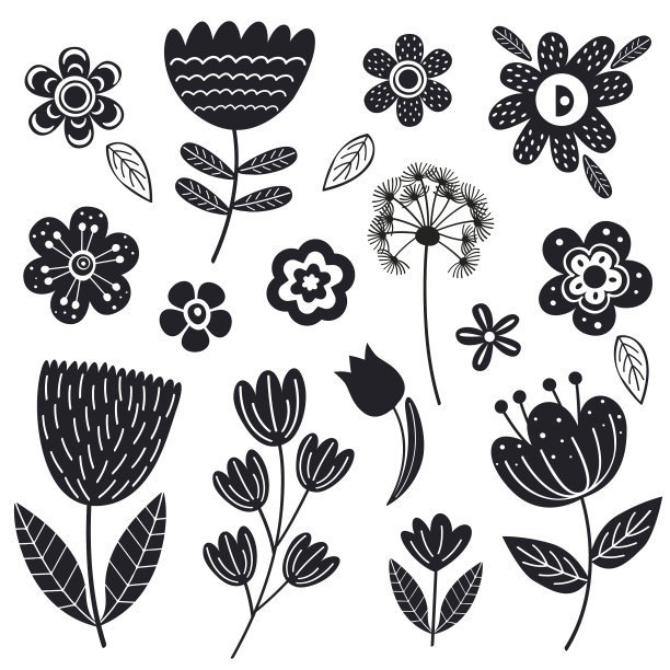 设置孤立的黑色花第二部分图片下载