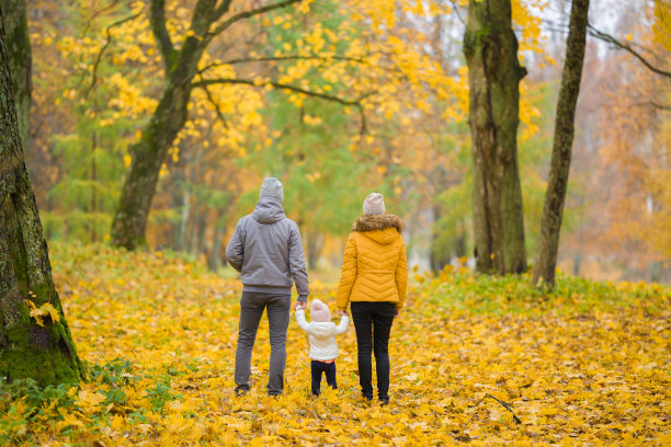 妈妈，爸爸和小女孩走在森林里黄色的落叶上。金色的秋天。在美好的日子里一起度过时光。享受和平的漫步。后视图。图片下载