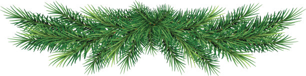 长长的花环圣诞树的树枝图片下载