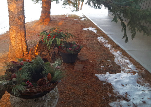 假日装饰的森林前院图片下载