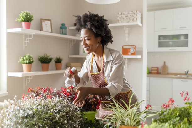 迷你绿色天堂在我的家图片下载