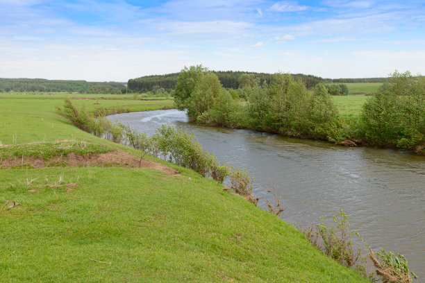 夏季景观，河流和绿色的河岸图片下载