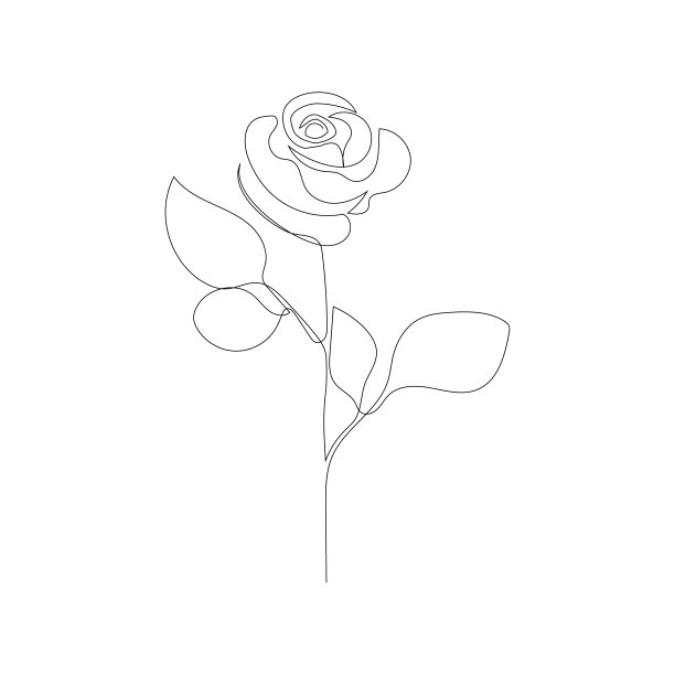 玫瑰一线画。连续线玫瑰花。图片下载