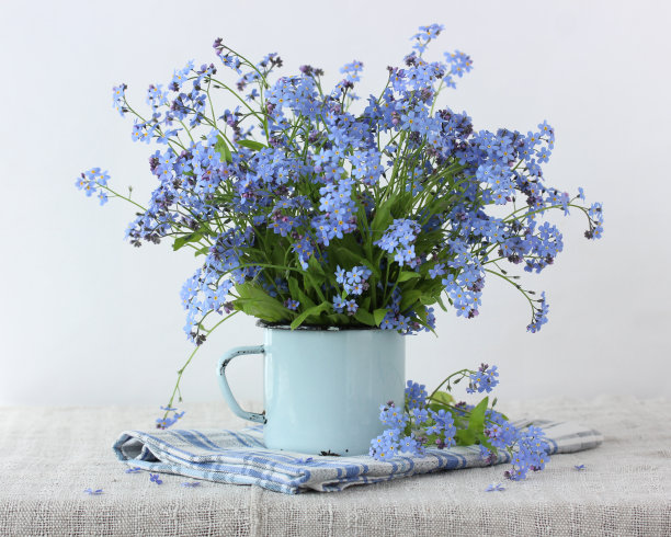 蓝色杯子里的一束勿忘我。图片下载