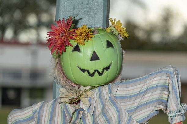 塑料绿色南瓜图片下载