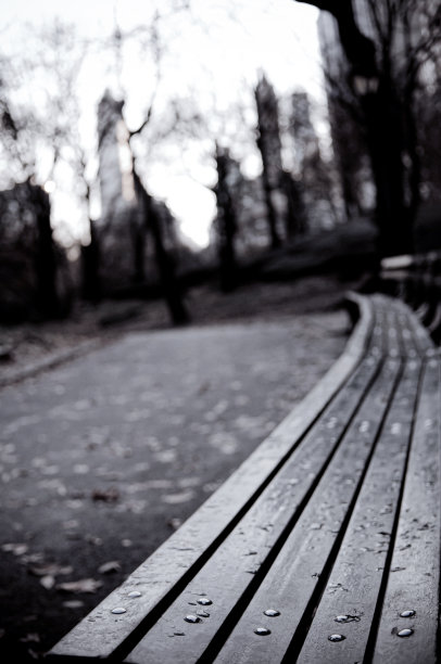 中央公园图片下载