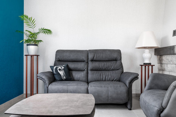 舒适的新家庭室内客厅，沙发，抱枕，绿色植物，灯和桌子图片下载