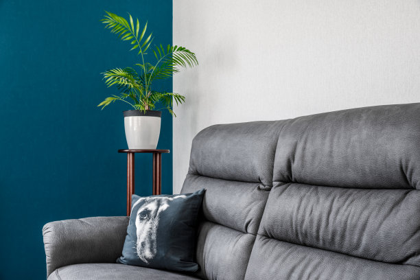 舒适的新家庭室内客厅与沙发，扔枕头与狗肖像形象和绿色植物图片下载