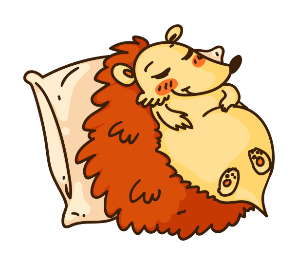 滑稽的刺猬睡在枕头上孤立的白色图片下载