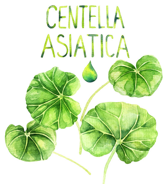 亚洲水彩画图片下载