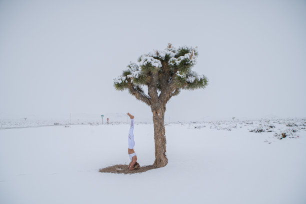 一个女人在雪中的丝兰树旁练习瑜伽图片下载