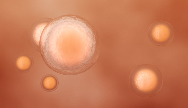 人类细胞图片下载