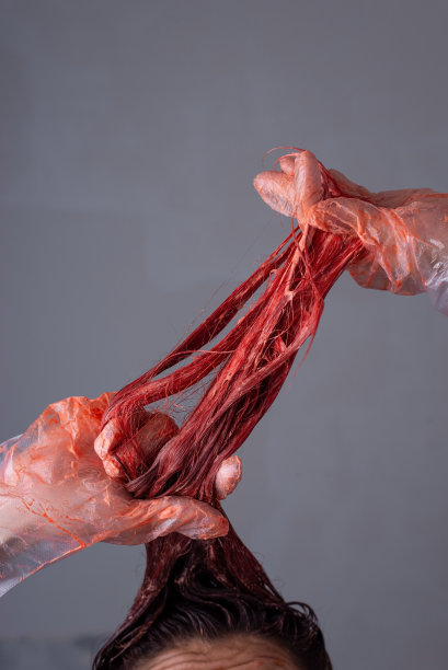 把头发染成红色的过程。一个戴着手套拿着染过的头发的女孩的肖像。工作室肖像在灰色背景图片下载