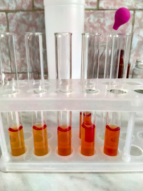 为实验室研究准备的架子上装有血液的试管图片下载