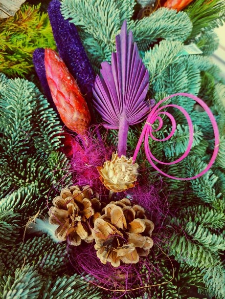 秋季降临安排与冷杉树图片下载