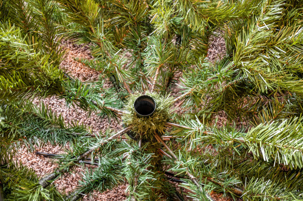 聚焦堆叠的顶视图的人工树与油管和电线可见图片下载