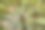 聚焦堆叠的顶视图的人工树与油管和电线可见图片下载