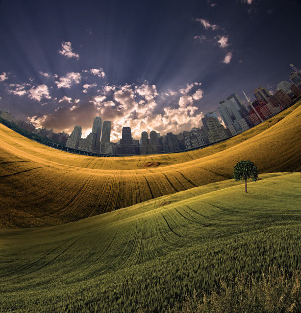 远处的城市和草地图片下载