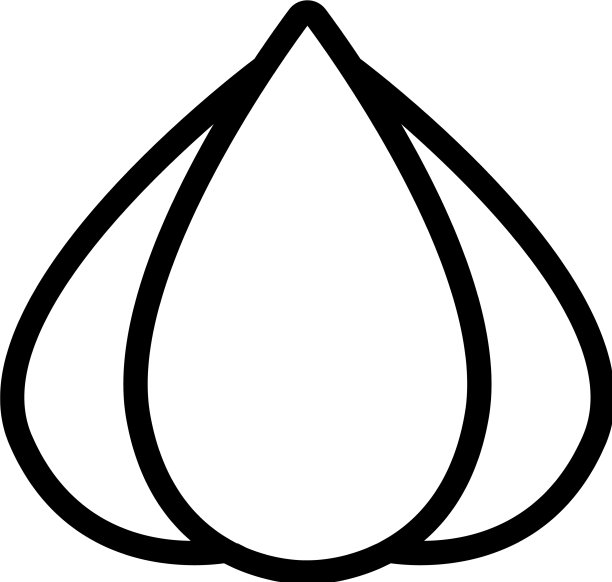 山竹果图标轮廓图片下载