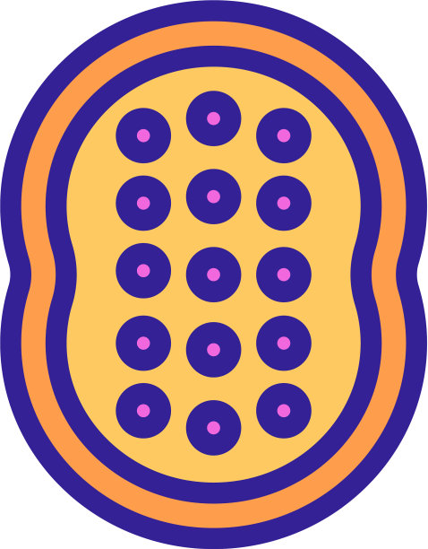 反脂肪按摩工具图标轮廓图片下载