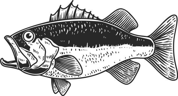 鲈鱼在雕刻风格的设计元素图片下载