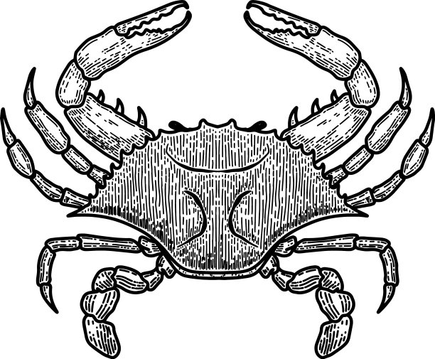 蓝蟹在雕刻风格的设计元素图片下载
