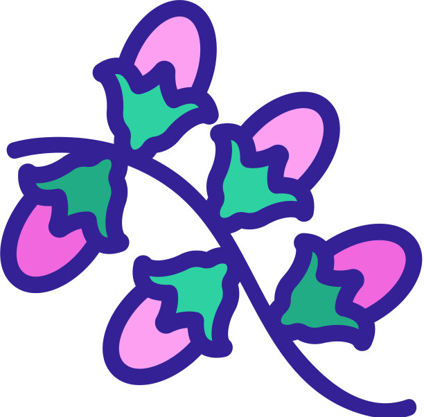 荷荷巴树枝与浆果的图标轮廓图片下载