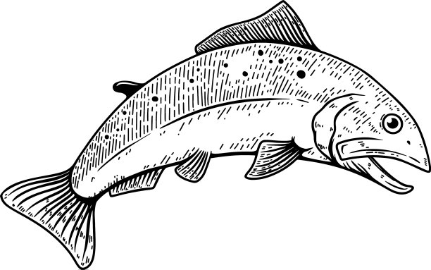 集三文鱼在雕刻风格的设计图片下载