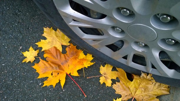 汽车车轮在路上。关闭了。黄色的枫叶落在沥青上。金色的秋天。旅行的概念。开车。汽车轮毂罩。保护汽车。图片下载