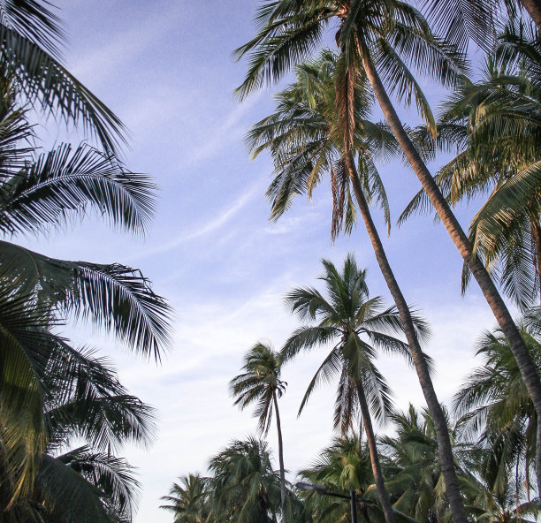 泰国，邦盛——2020年11月26日，邦盛海滩有游客在日落时做海滩活动。图片下载