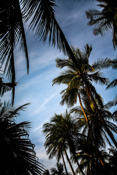 泰国，邦盛——2020年11月26日，邦盛海滩有游客在日落时做海滩活动。图片下载