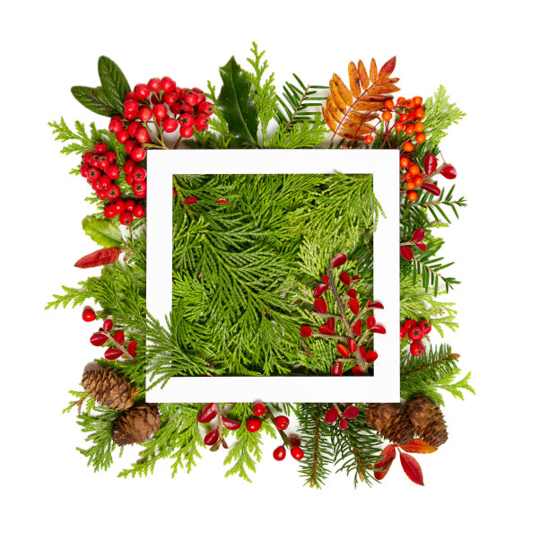 圣诞贺卡注意框架孤立在白色的背景图片下载