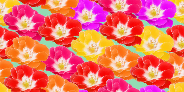 玫瑰花朵。插图，花的纹理。用于连续复制的无缝模式。花卉背景，照片拼贴为纺织品，棉布面料。用于墙纸，封面图片下载